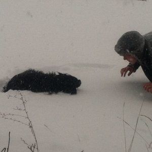 Meet your Posher, Sarah mcdaniels